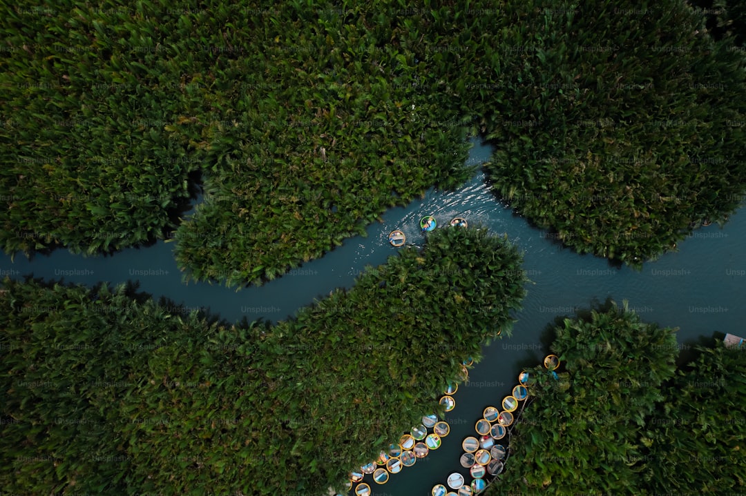 Carbon Neutral Paradise: Terra Verde's Sustainable Luxury Revolution